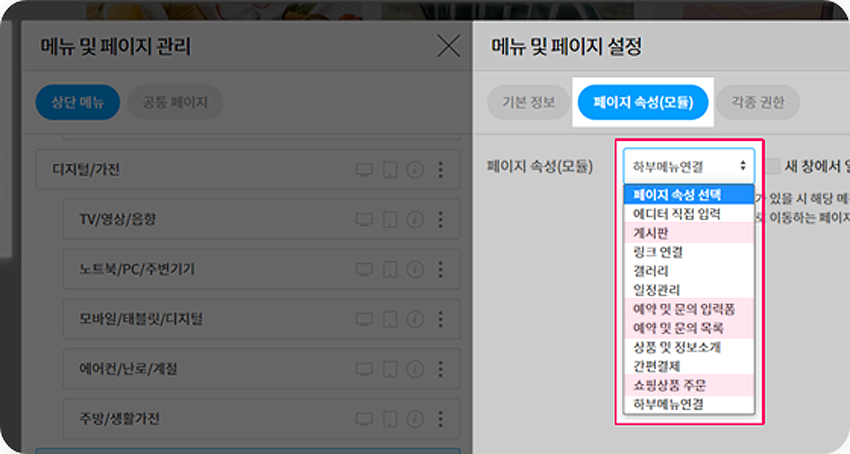 사이트와 메뉴 속성