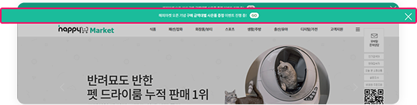 사이트와 최상단 영역